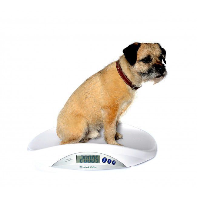 Marsden V-25 Low Cost Small Veterinary Weighing Scale for Weighing