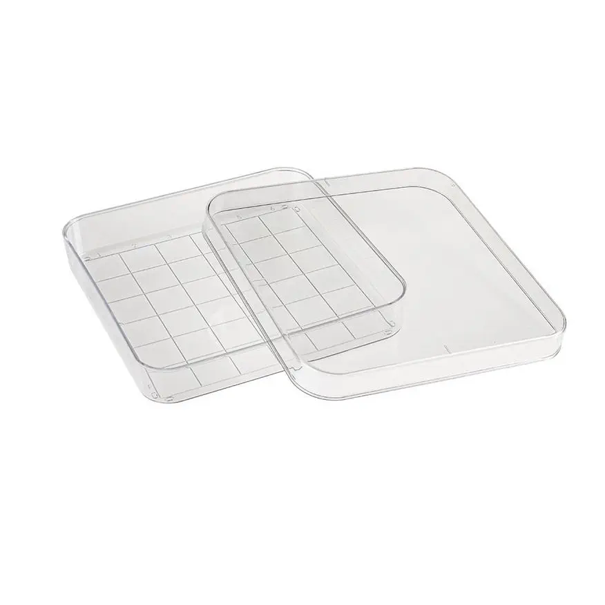 DISH// 生写真 Square Petri dish - D210-16 - Simport Scientific