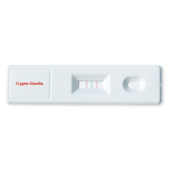 giardia egysejtu)