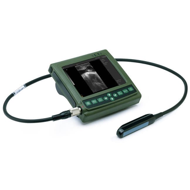 Pig Loin Muscle Thickness Ultrasound Scanner