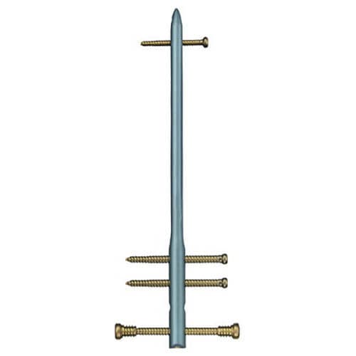 Femoral intramedullary nail - Targon® RF - Aesculap® - distal fixation