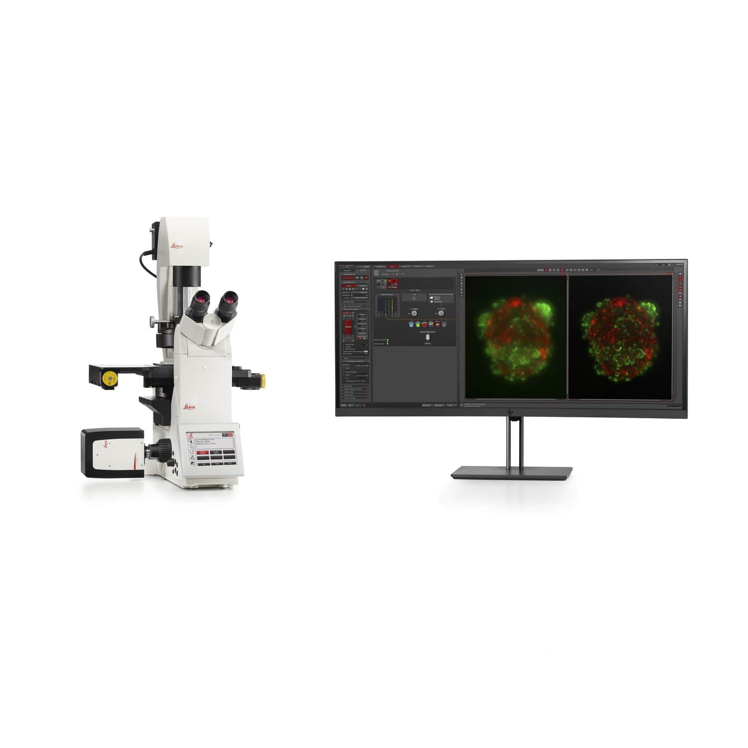 Fluorescence stereo microscope THUNDER Imager Live Cell Leica Microsystems optical