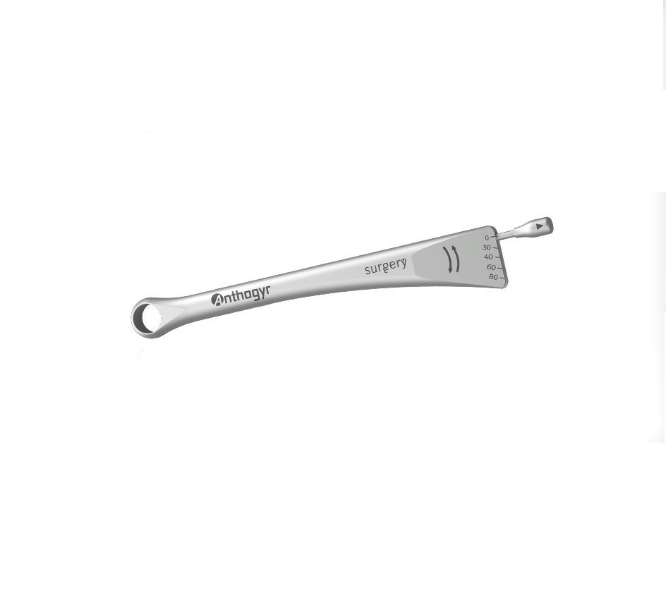 Torque dental implant wrench ANTHOGYR