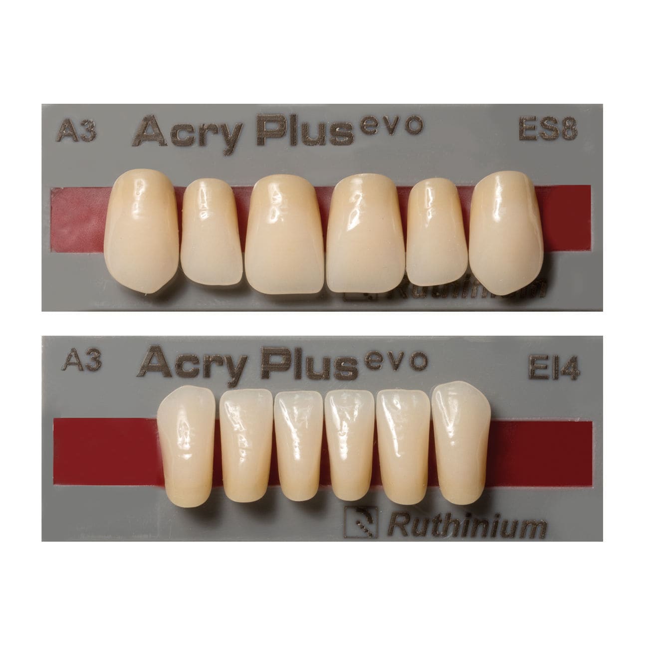 Acrylic dental prosthesis Acry Plus EVO DENTAL MANUFACTURING S.p.A
