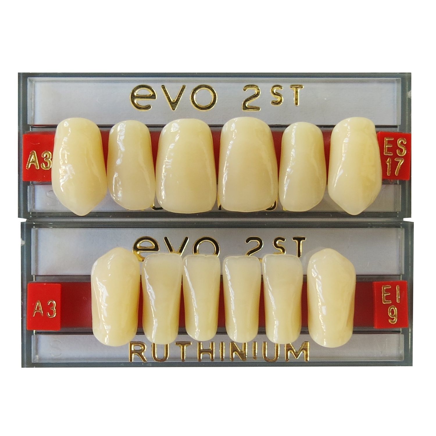 Acrylic dental prosthesis EVO 2ST DENTAL MANUFACTURING S.p.A