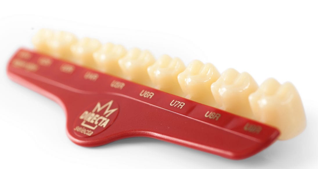 Polycarbonate dental crown Directa® DIRECTA AB molar / translucent