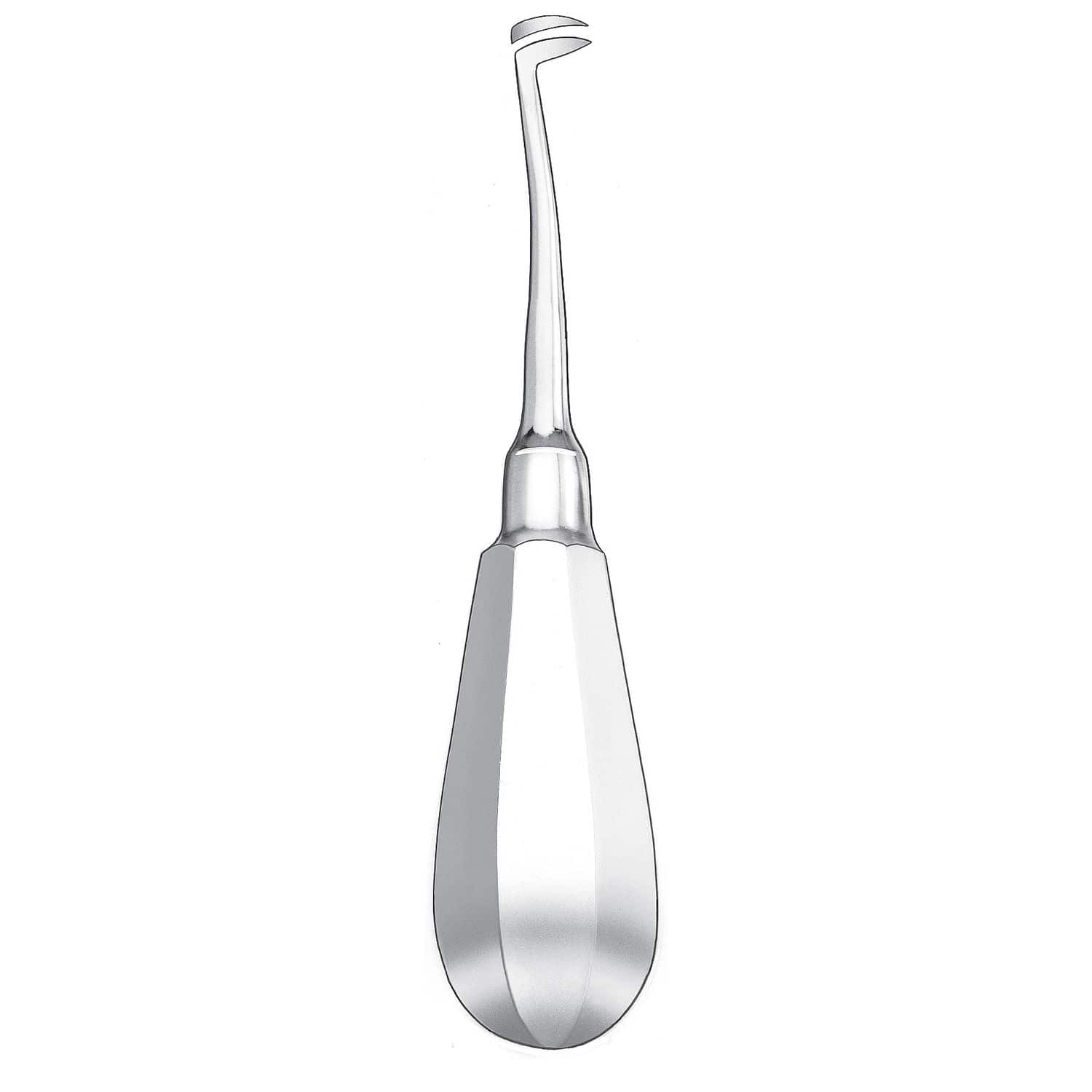 Curved dental root elevator 526/1 Carl Martin GmbH Cryer