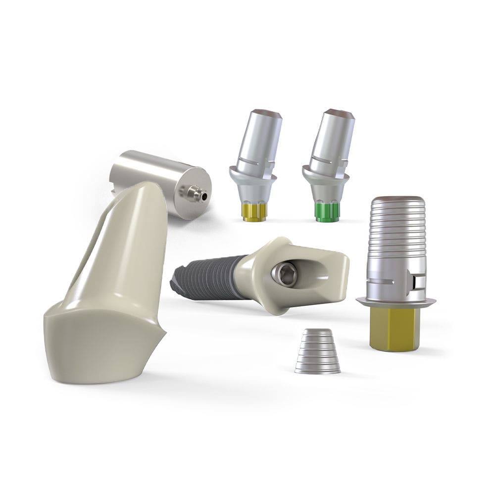 20 X Anti-Rotation Straight Titanium Abutments For Internal Hex System - Global Implant