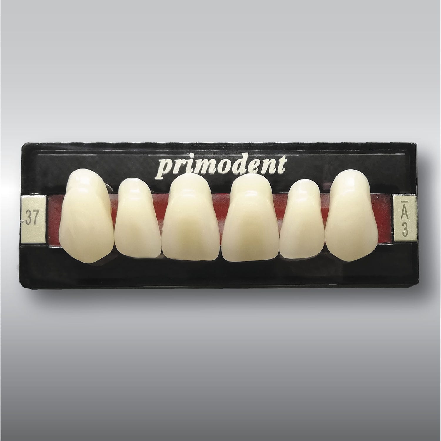 Acrylic dental prosthesis PRIMODENT POLIDENT d.o.o. anterior