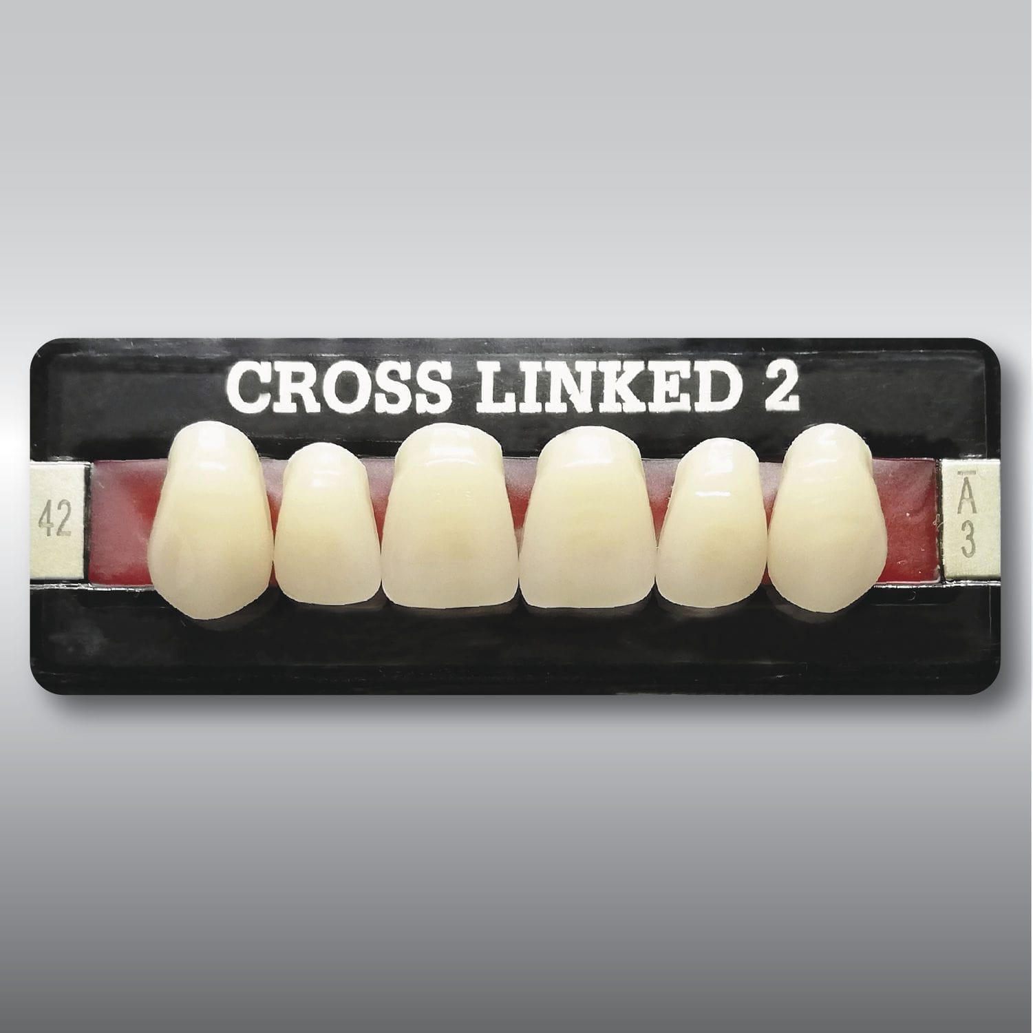 Acrylic dental prosthesis CROSS LINKED 2 POLIDENT d.o.o. anterior