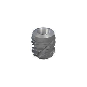 Cylindrical dental implant - BLX - Institut Straumann - titanium ...