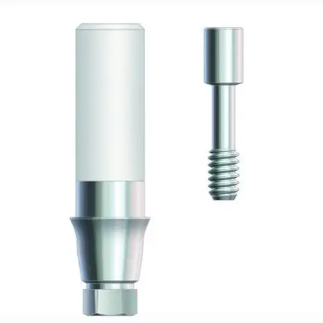 20pk Dental Castable Abutments With Hex – 2.42 Internal Hex – Plastic + Screws – Next Brand