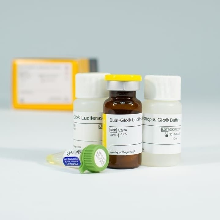 Medical research assay kit DualGlo® Promega France cytotoxicity