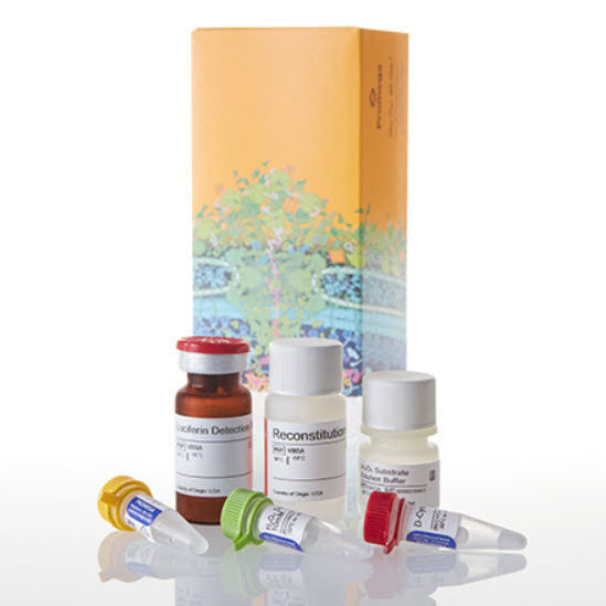Medical research assay kit ROSGlo™ Promega France for oxidative