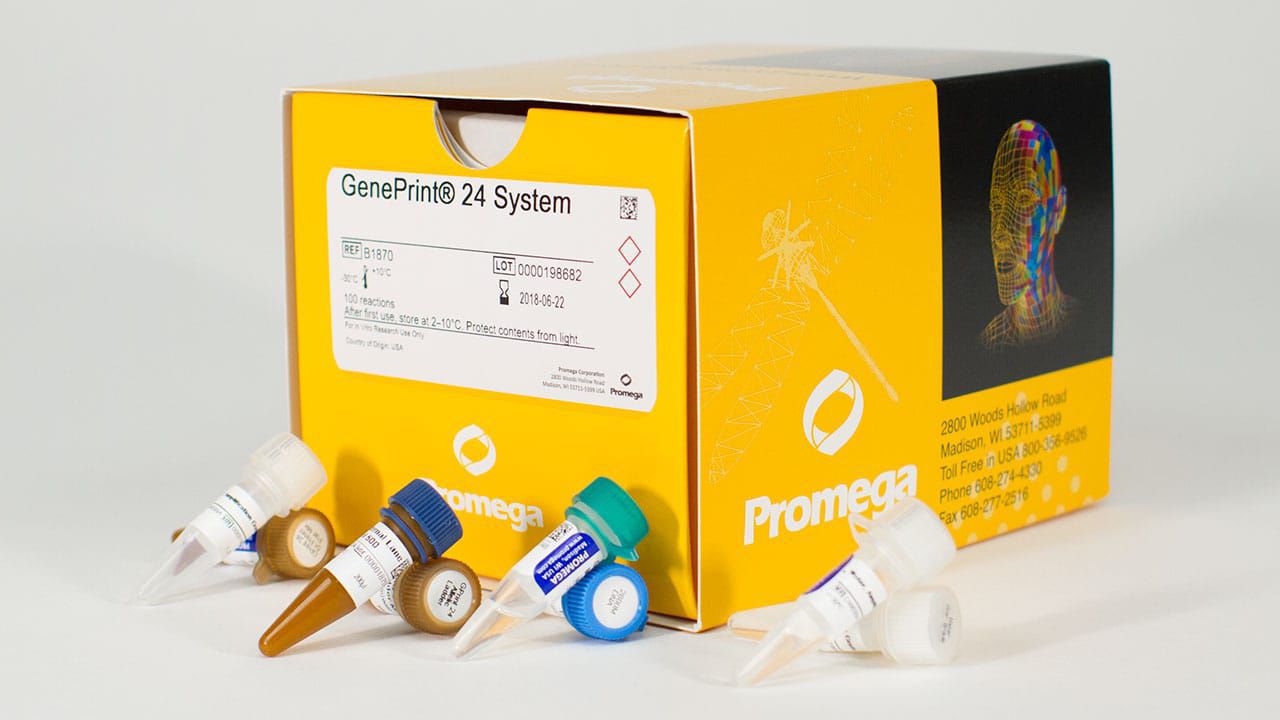 Solution reagent kit GenePrint® 24 Promega France dye / tissue / for nucleic acids