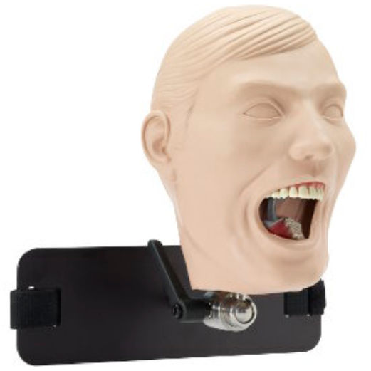Dental care training manikin M1RDA8 Columbia Dentoform® head