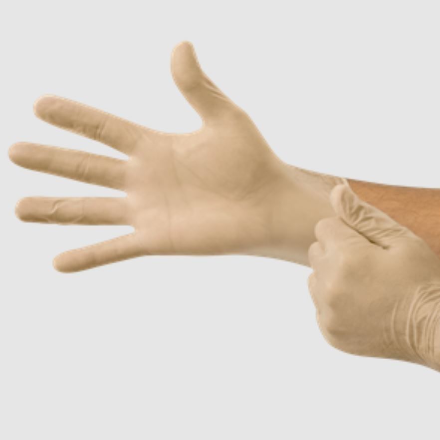 Latex gloves MICROFLEX® Applause® Y20 Ansell vinyl / medical / examination