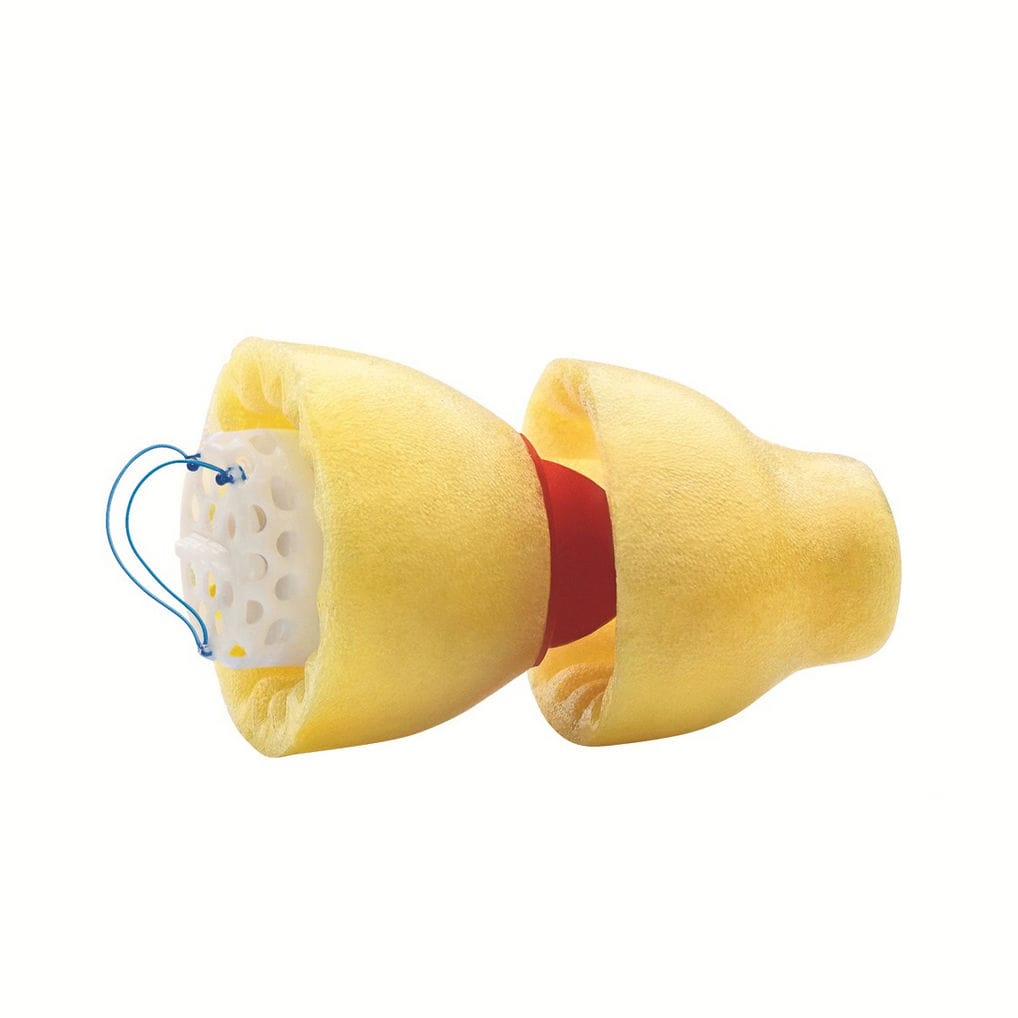 IIC hearing aid Lyric Phonak