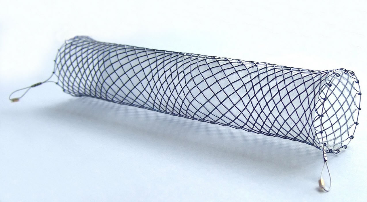 Esophageal stent Danis Stent ELLACS nitinol / silicone / selfexpanding