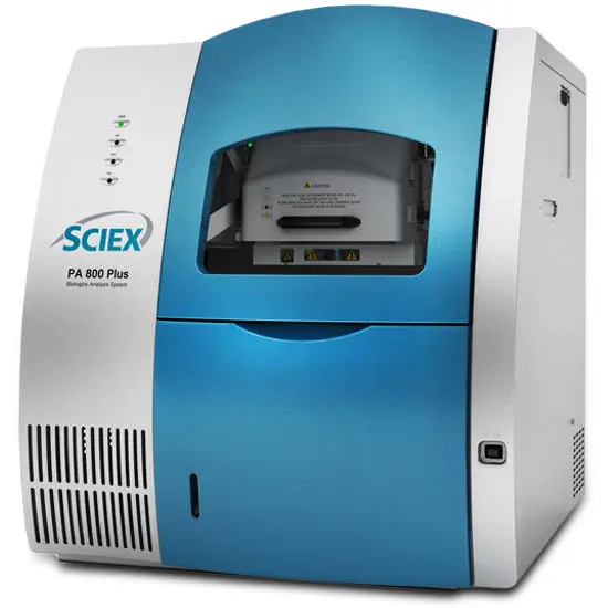 Capillary electrophoresis system - PA 800 Plus - SCIEX - SDS / for
