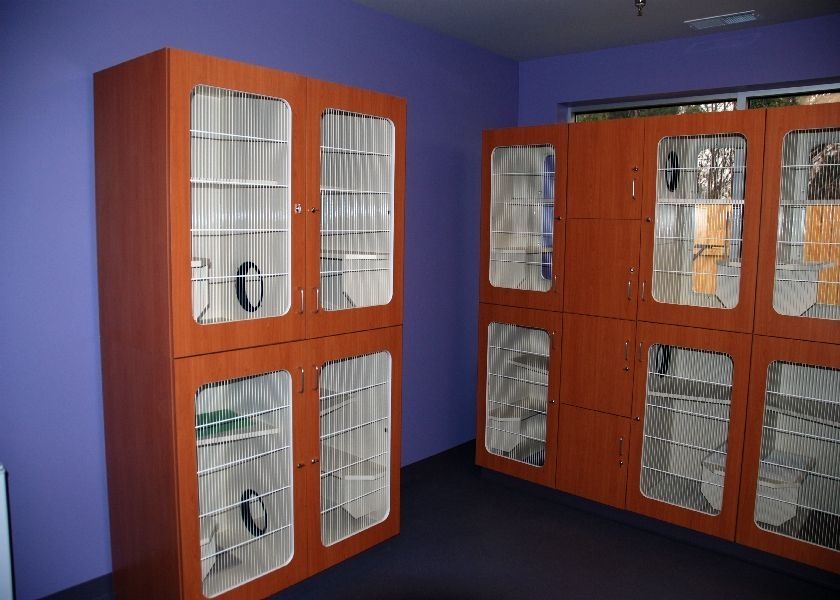 Cat veterinary cage Raintree™ Mason modular