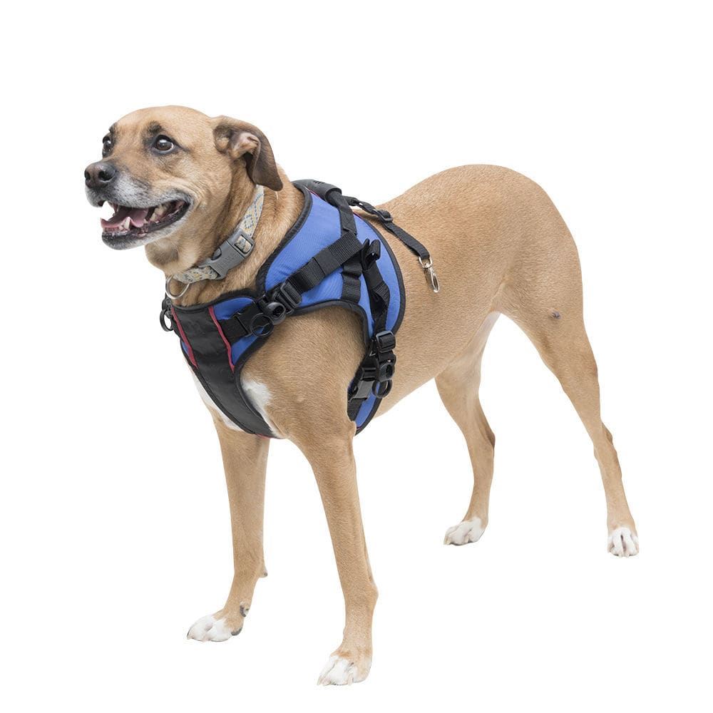 dog harness with wheels