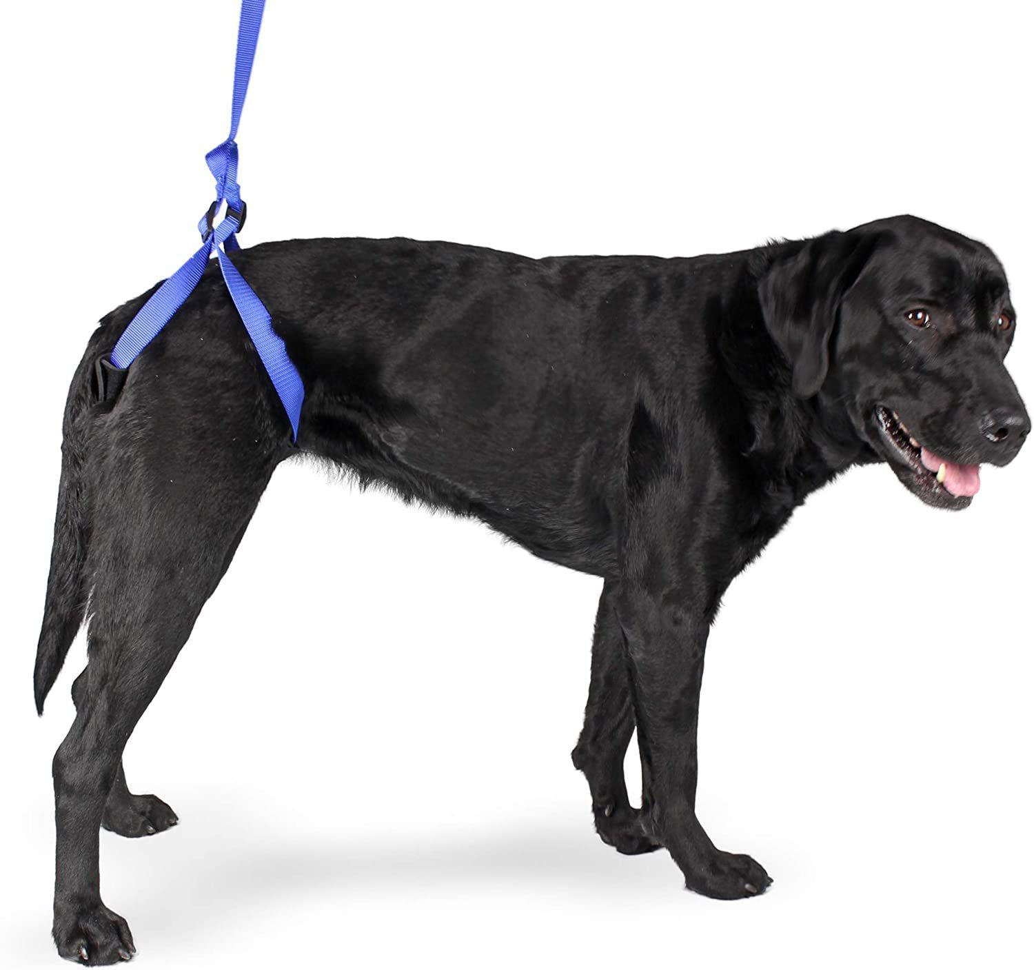 Walking sling Walkin’ UpnGo Leash Walkin' Pets for dogs