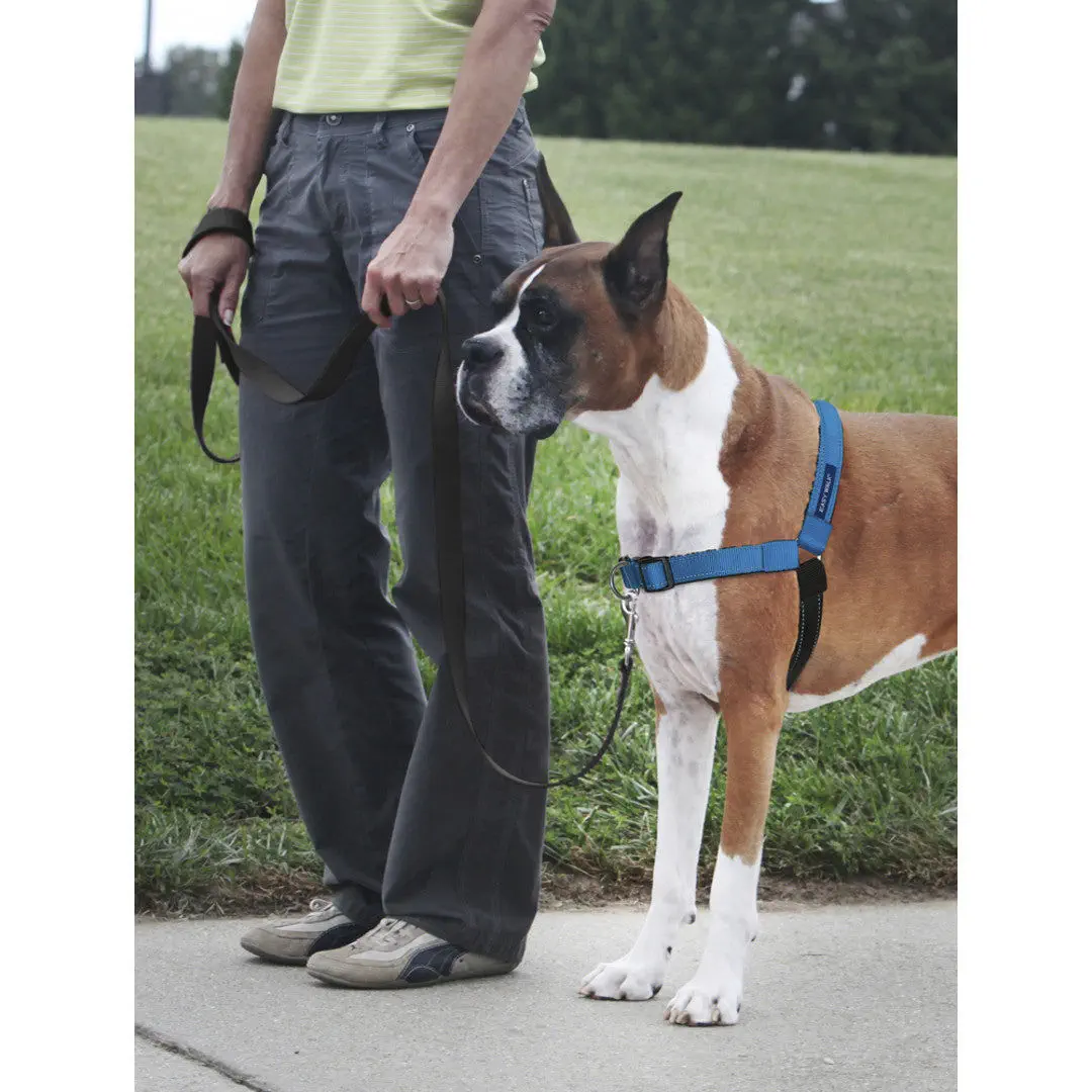 Walking harness Deluxe Easy Walk PetSafe veterinary for dogs