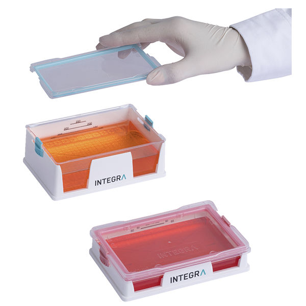 Reagent reservoir Divided Integra Biosciences AG