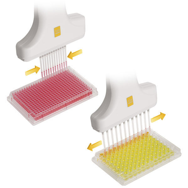 Electronic pipette VOYAGER Integra Biosciences AG multichannel