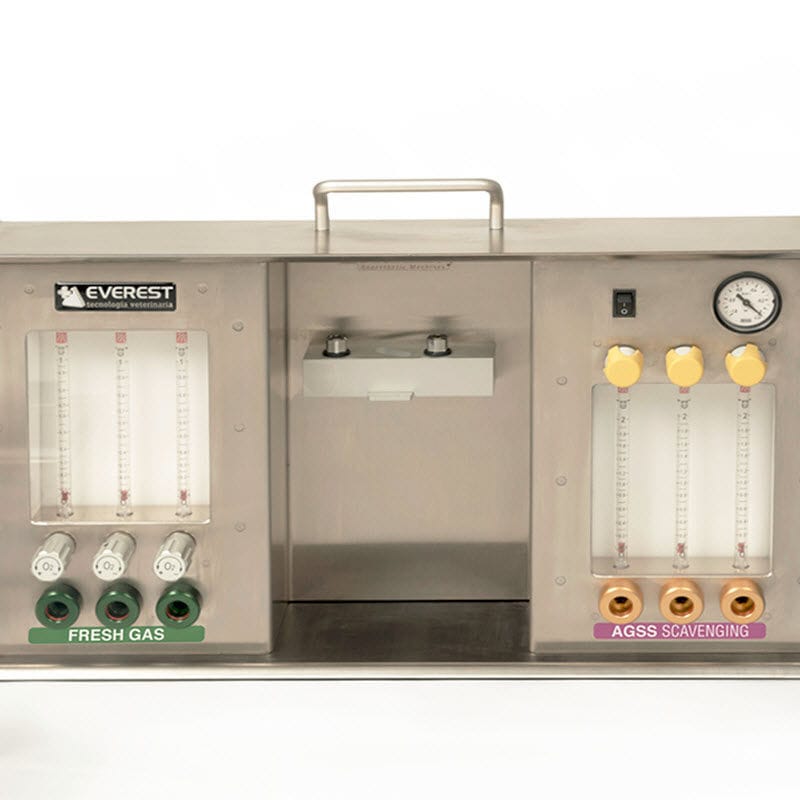 Small animal anesthesia workstation Mckinley Lab+ EverestTecnovet