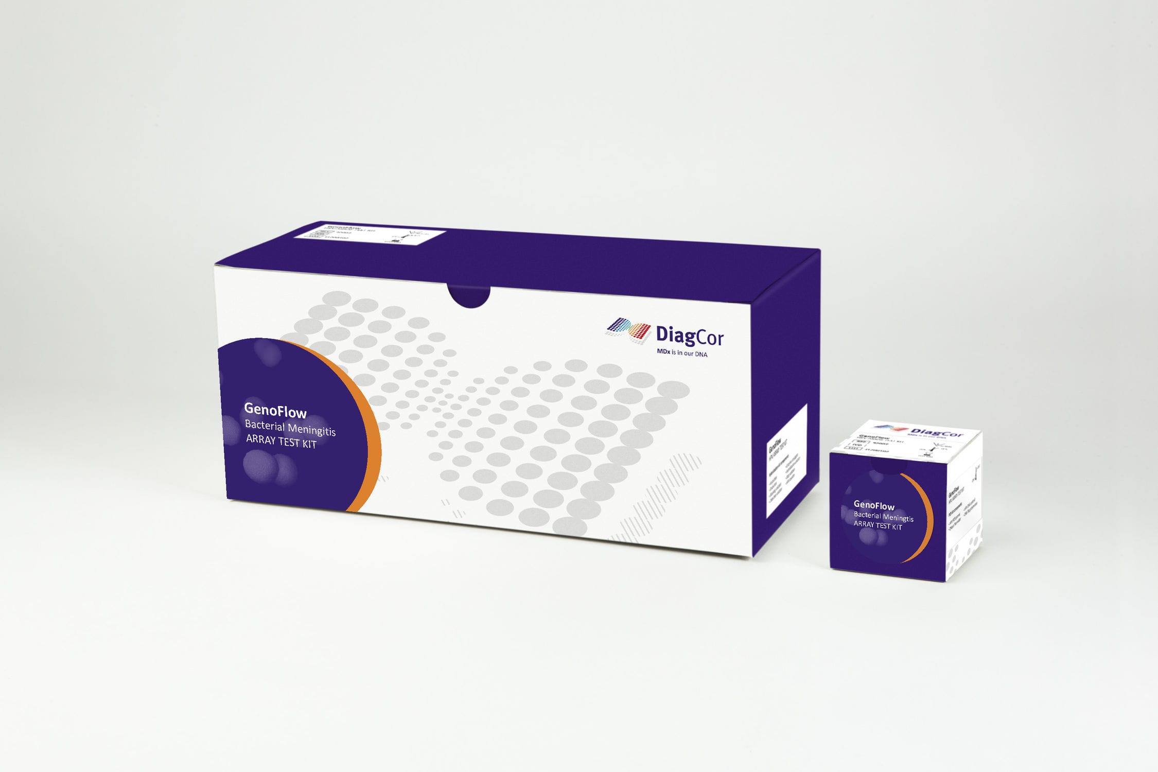 Meningitis test kit - GenoFlow R14004 - DiagCor Bioscience