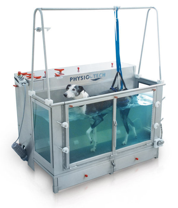 Underwater veterinary treadmill COMFORT PHYSIOTECH for dogs