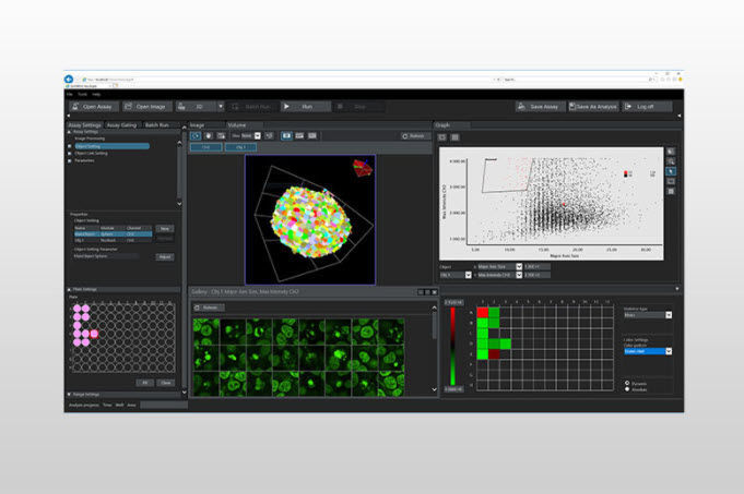 Cell imaging software - NoviSight - EVIDENT - analysis / 3D viewing ...