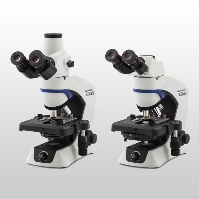 Upright microscope - CX33 - Evident - Olympus Scientific Solutions