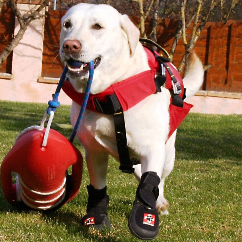 Dog veterinary walker boot TheraPaw TheraPaw breathable