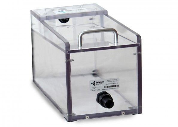 babies king french bulldogs