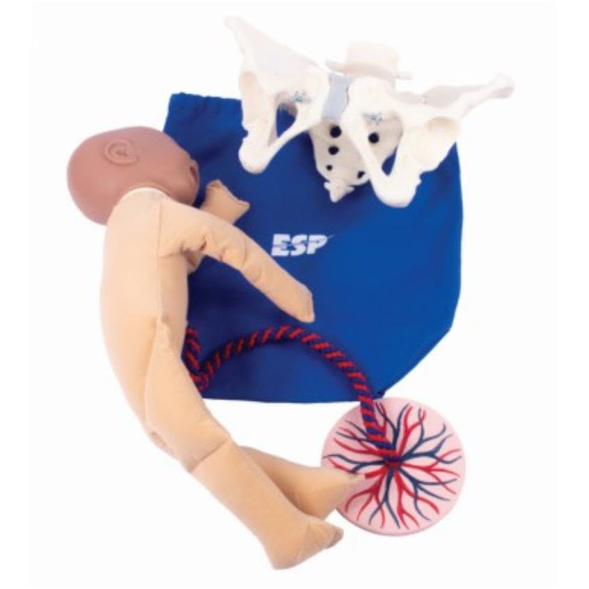 General care training manikin ZKK260T Educational + Scientific