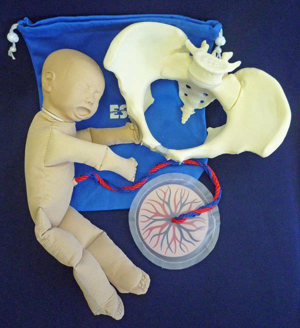 Delivery training manikin ZKK260T Educational + Scientific
