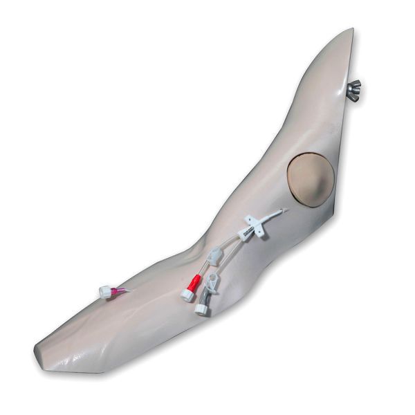 Infusion simulator - 2386 - VATA, Inc. - training / for general care / arm