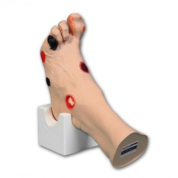 Foot anatomical model - WILMA™ - VATA, Inc. - skin / decubitus ulcer ...