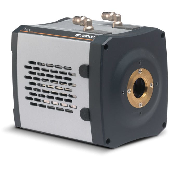 Microscope camera - Neo - Andor Technology PLC - screening / digital ...