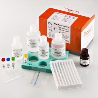 Hpv Test Kit High Papillomastrip Operon S A For Dna