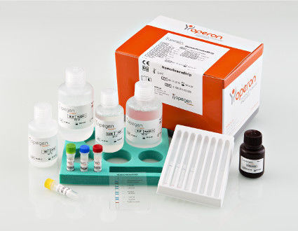 Hemochromatosis test kit - HemochromaStrip - Operon S.A ...