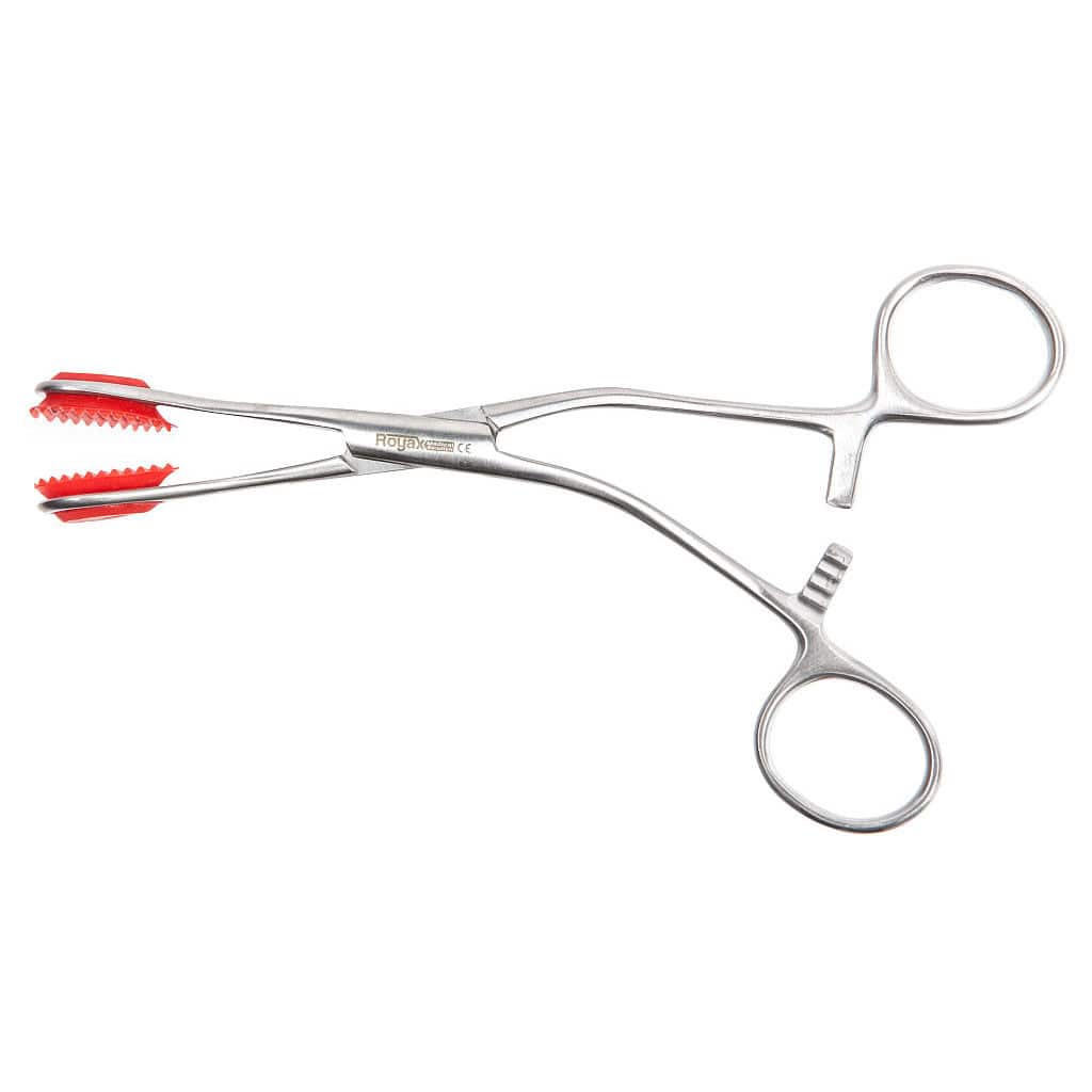 Surgical forceps RMEITC01 ROYAX grasping / tongue / stainless