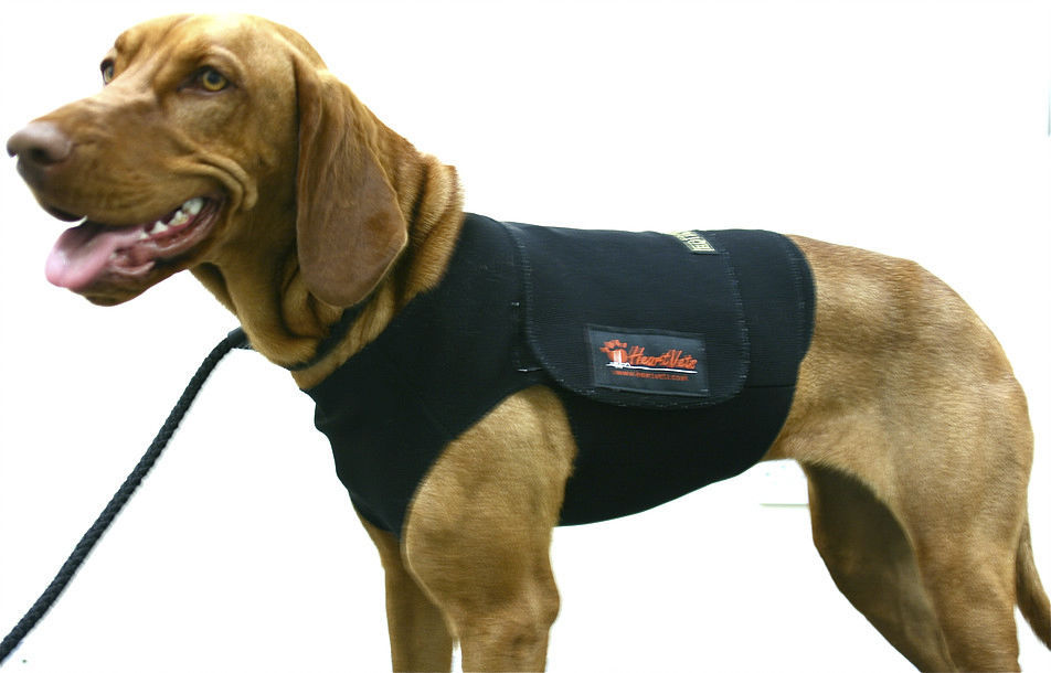 1channel veterinary Holter Holtervests HeartVets