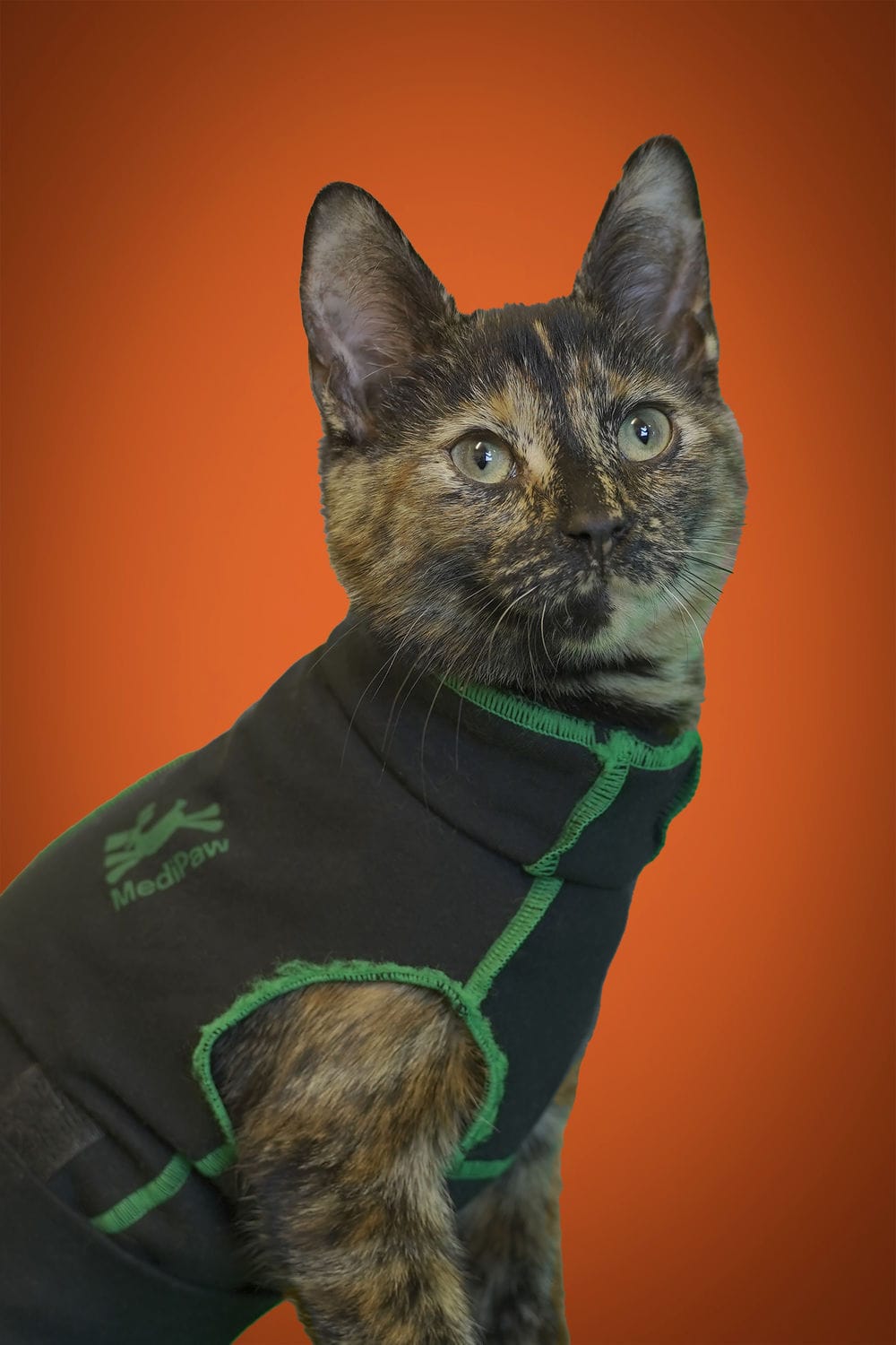 Veterinary wound protective suit Medipaw® MediVet Products