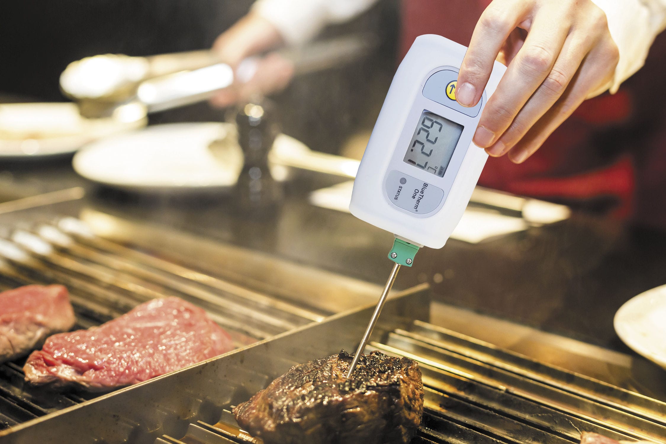 Thermometer for the food industry bluetherm one jri electronic