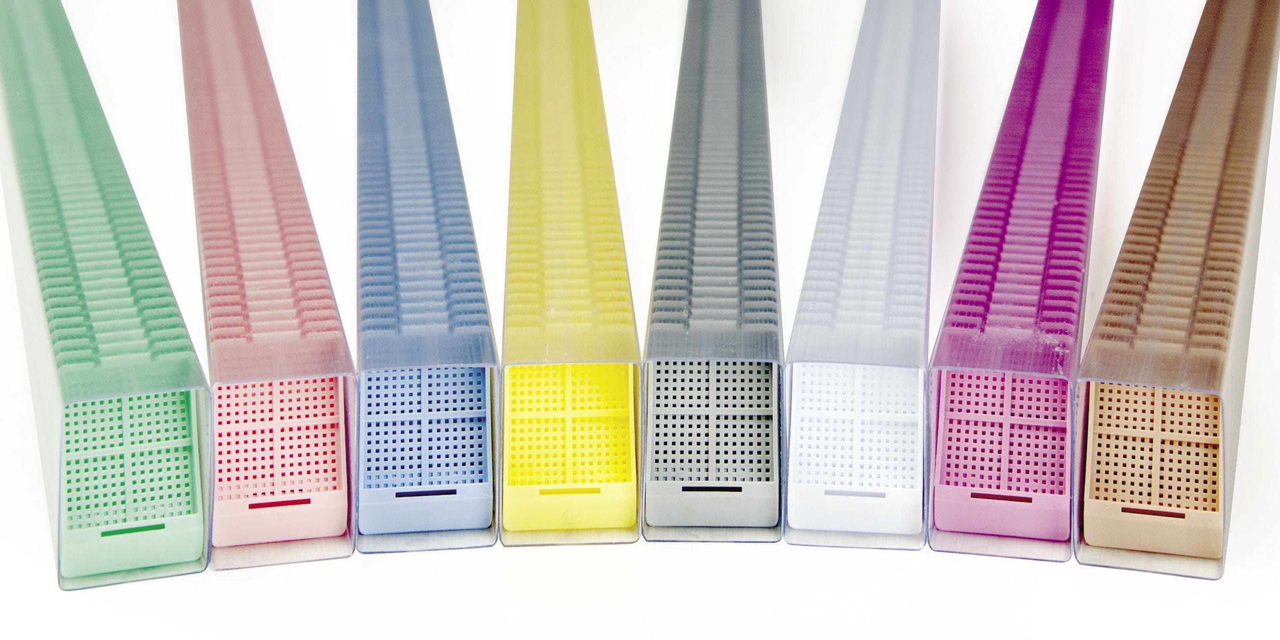 Biopsy cassette 38441500 Leica Biosystems