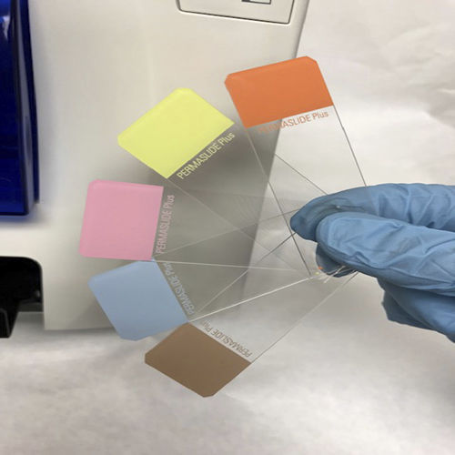 Adhesive microscope slide PERMASLIDE Leica Biosystems